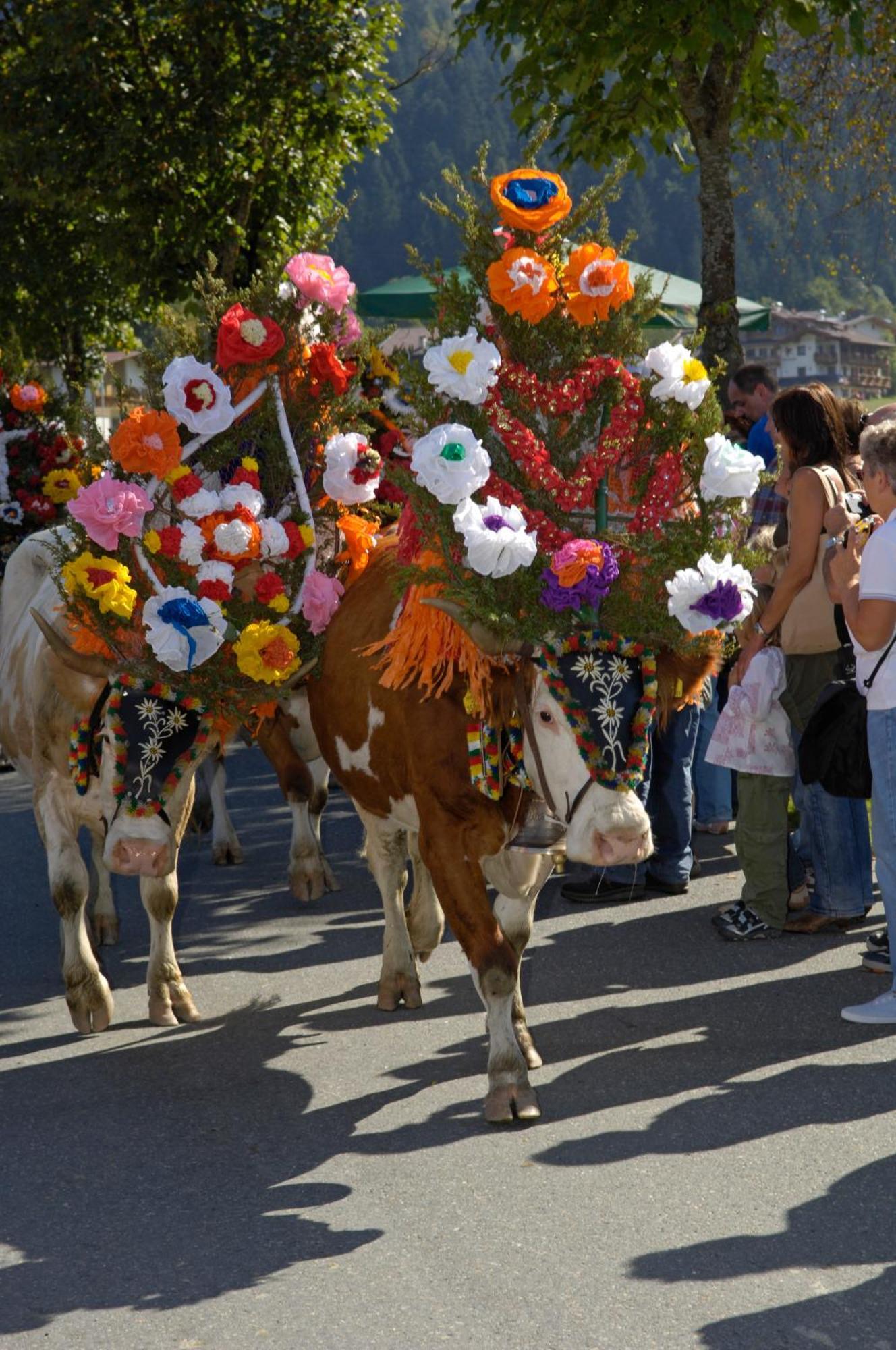 Ferienhotel Tyrol Soell Am Wilden Kaiser Zewnętrze zdjęcie